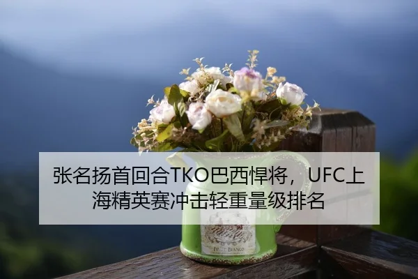 张名扬首回合TKO巴西悍将，UFC上海精英赛冲击轻重量级排名