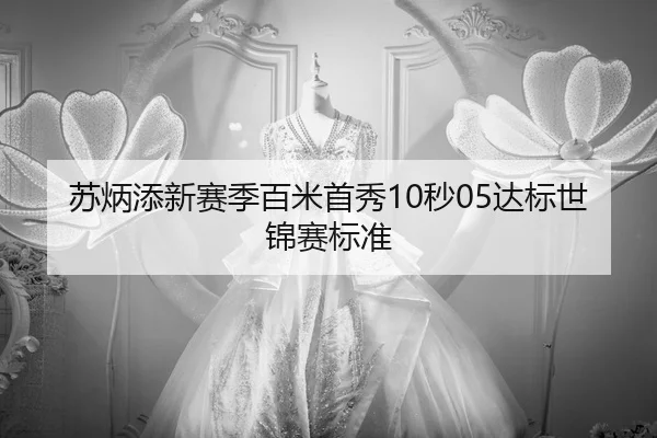 su-bing-tian-xin-sai-ji-bai-mi-shou-xiu-miao-da-biao-shi-jin-sai-biao-zhun-3-586.jpg