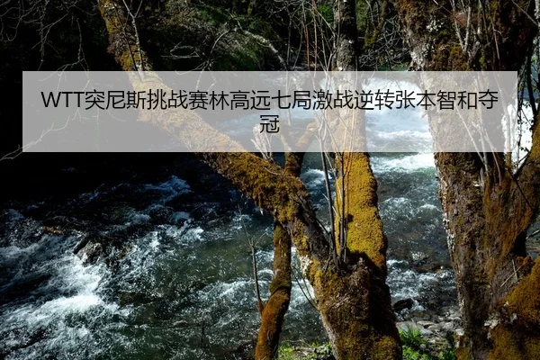 WTT突尼斯挑战赛林高远七局激战逆转张本智和夺冠