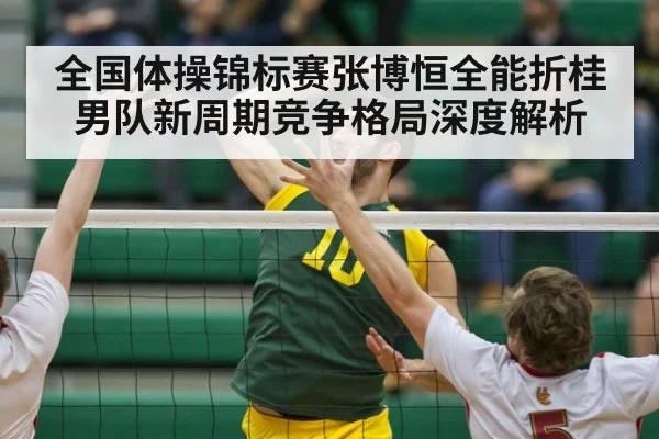 全国体操锦标赛张博恒全能折桂 男队新周期竞争格局深度解析